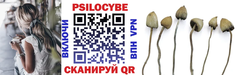купить   omg ссылка  Галлюциногенные грибы Psilocybine cubensis  Данилов 